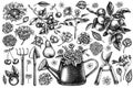 Gardening vintage vector illustrations collection. Black and white watering can, apples, cherry, rose, pears, shovel