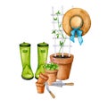 Gardening. Watercolor composition with potted flowers, garden tools, sun hat and rubber boots.
