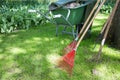 Gardening wheelbarrow and rakes near flower tulip bushes in a garden.