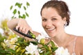 Gardening - woman cutting flower with shears Royalty Free Stock Photo