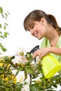 Gardening - woman sprinkling water on Rhododendron Royalty Free Stock Photo