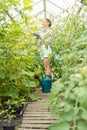 Gardening woman watering tomatoes