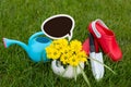 Gardening. work in the garden. tools, watering can and flower in a pot on a background of green leaves. Copy space Royalty Free Stock Photo