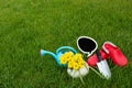 Gardening. work in the garden. tools, watering can and flower in a pot on a background of green leaves. Copy space Royalty Free Stock Photo