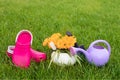 Gardening. work in the garden. tools, watering can and flower in a pot on a background of green leaves. Copy space Royalty Free Stock Photo