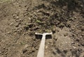 Gardening work in a nursery