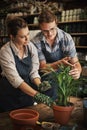 Gardening and working with flowers grows your spirit. two young florists working together inside their plant nursery. Royalty Free Stock Photo