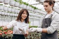 Gardening. Young smiling people florists planting flowers in the greenhouse Royalty Free Stock Photo