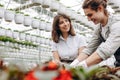 Gardening. Young smiling people florists working and arranging pots with flowers in the garden centre Royalty Free Stock Photo