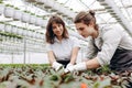 Gardening. Young smiling people florists working and arranging pots with flowers in the garden centre Royalty Free Stock Photo