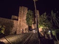 Gardens of the Alcazaba arab castle in Malaga, Spain