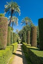 Gardens at the Alcazar, Seville, Andalucia, Spain Royalty Free Stock Photo