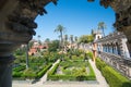 Gardens of the Alcazar, Seville, Andalucia, Spain Royalty Free Stock Photo