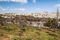 Gardens Amman in Jordan