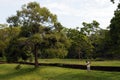 The gardens around Sigiriya rock.