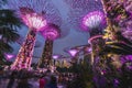 Gardens by the Bay are the absolutely highlight of visiting Singapore, especially in the night when is alway a light show on