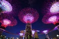 Gardens by the bay with light at night, Singapore Royalty Free Stock Photo