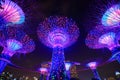 Gardens by the bay with light at night, Singapore Royalty Free Stock Photo