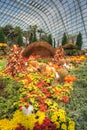 Gardens by the Bay, Flower Dome: Autumn Harvest