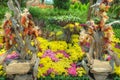 Gardens by the Bay, Flower Dome: Autumn Harvest