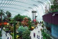 Gardens by the Bay Flower Dome pavillion