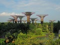 Gardens by the Bay.