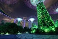 Gardens by the bay at night, Singapore Royalty Free Stock Photo