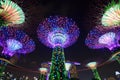Gardens by the bay at night, Singapore Royalty Free Stock Photo