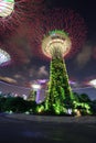 Gardens by the bay at night, Singapore Royalty Free Stock Photo