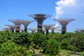 Supertrees in Gardens by the Bay, Singapore, Asia. View of Park with Supertrees, pond and lots of exotic trees with blue sky