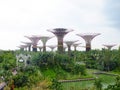 Gardens by the bay