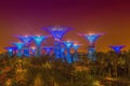 Gardens by the Bay at night