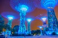 Gardens by the Bay at night in Singapore Royalty Free Stock Photo