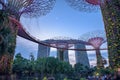 Gardens by the Bay. Night view of the light tree show in Singapore