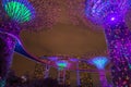 Gardens by the Bay. Night view of the light tree show in Singapore