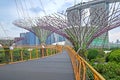 Gardens by the Bay OCBC Skyway Royalty Free Stock Photo