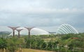 Gardens by the Bay, Singapore Royalty Free Stock Photo