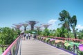 Gardens by the Bay, Singapore Royalty Free Stock Photo