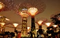 Gardens by the bay in Singapore