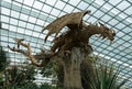 Gardens by The Bay, Singapore - February 19, 2023 - A brown statue of a dragon inside of Flower Dome