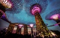 Gardens by the Bay Singapore