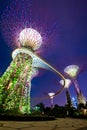 Gardens by the Bay Singapore