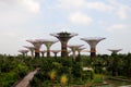 Gardens by the Bay in Singapore Royalty Free Stock Photo