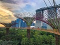 Gardens by the Bay Singapore sky walk Royalty Free Stock Photo