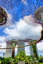 Gardens by the Bay, Singapore trees