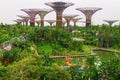 Gardens by the Bay, Singapure