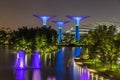 Gardens By The Bay Supertree Grove at Night, Singapore