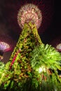 Gardens by the Bay - SuperTree Grove