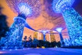 Gardens by the Bay - SuperTree Grove
