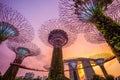 Gardens by the Bay with supertree in singapore